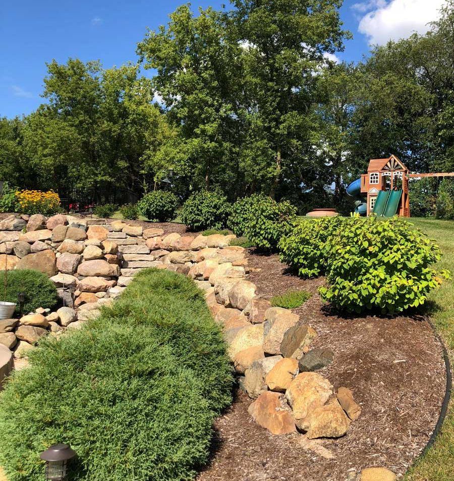 Our Professional Team