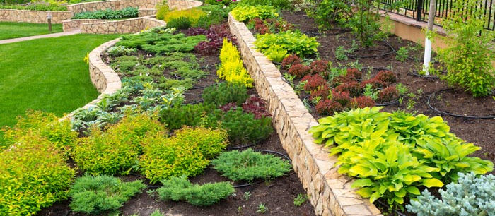 Commercial Landscaping