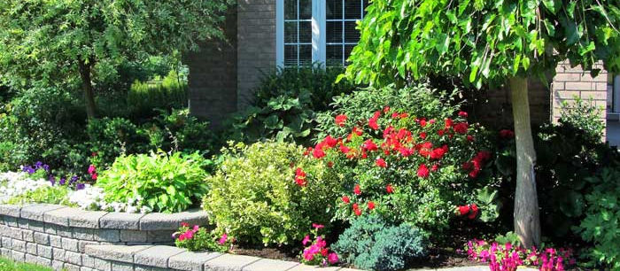 Residential Landscaping